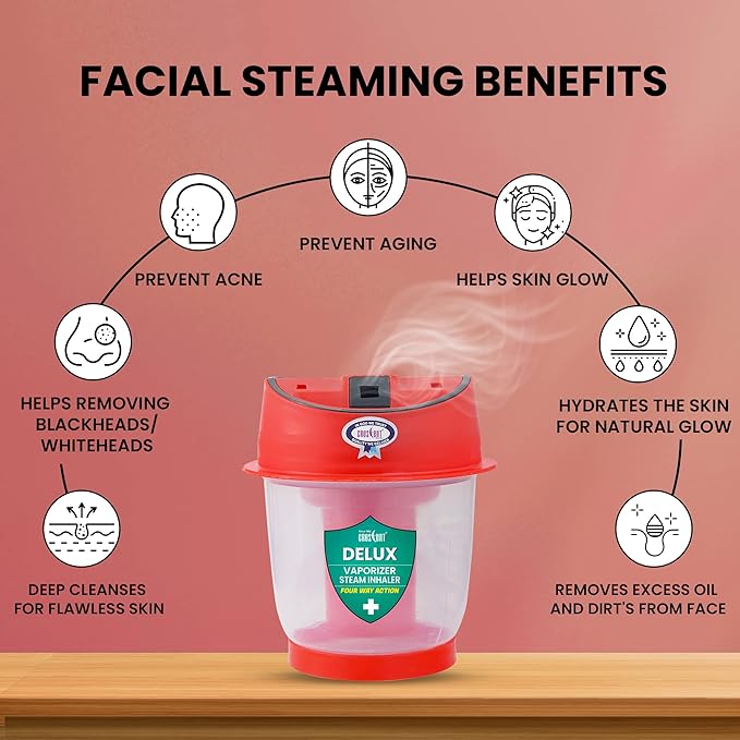 Crescent Steamer with Double Protection Vaporizer Steamer for Cough and Cold,