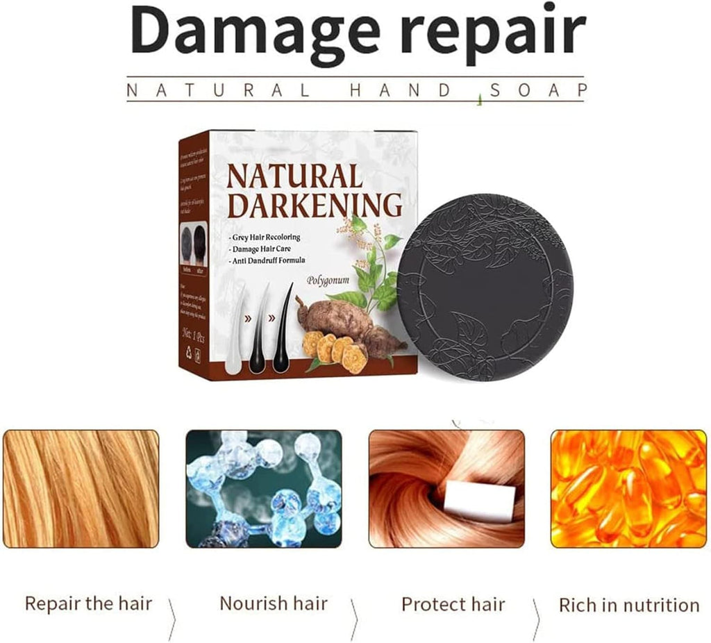 Natural Darkening Polygonum Multiflorum Hair Darkening Shampoo Bar Organic